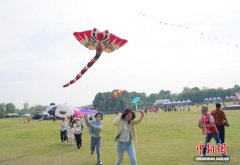 2026四川·崇州全国风筝嘉年华启幕